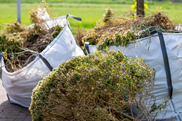 Best Furniture Removal  in Riverview, MI